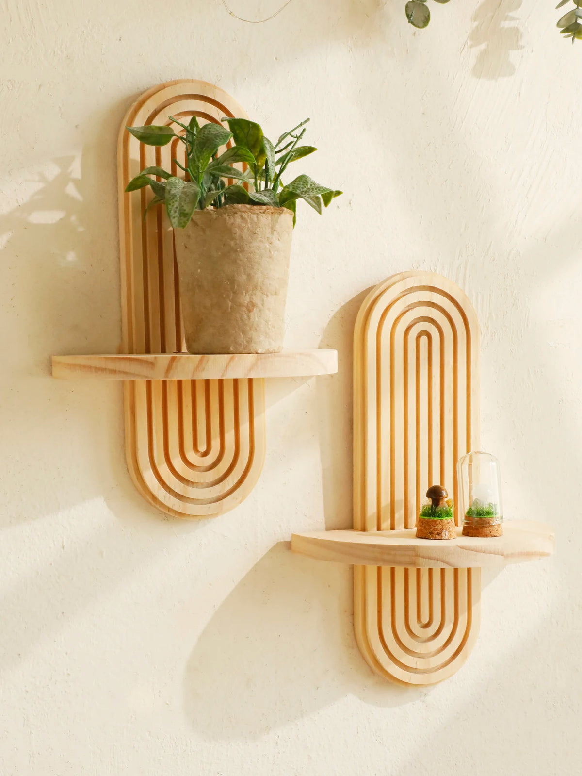 Geometric wooden wall shelves displaying a potted plant and a glass terrarium.