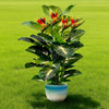 A vibrant artificial Bird of Paradise and Pothos plant in a light blue pot set against a bright green lawn.