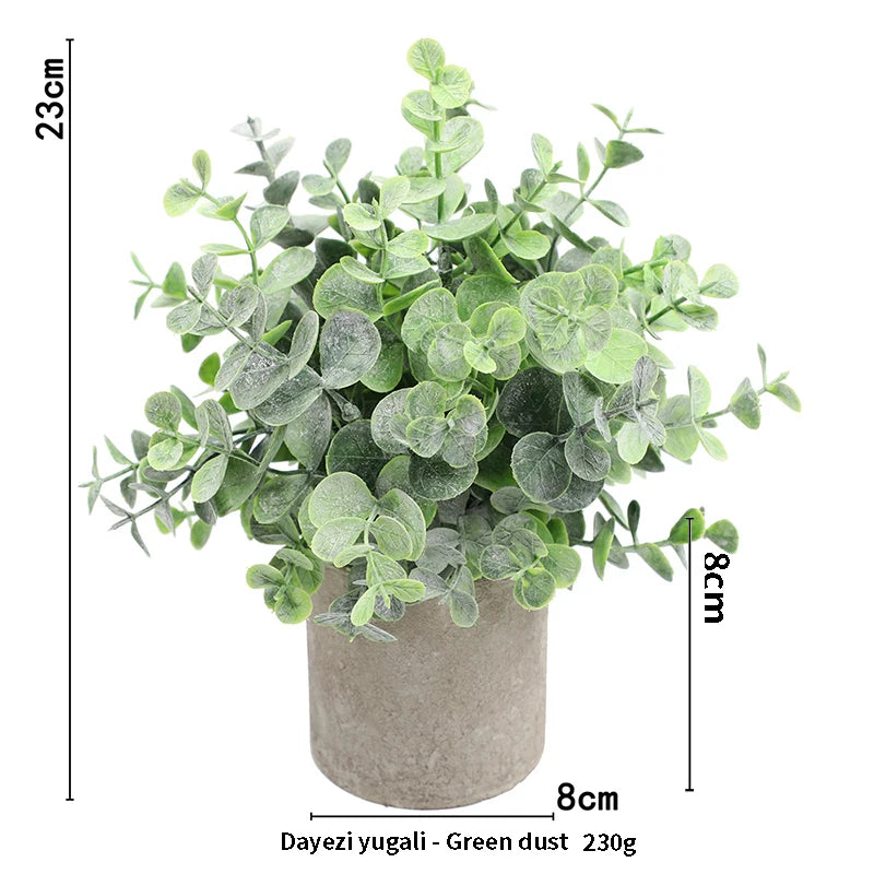A potted green dust plant in a rustic gray pot, measuring 23cm high.