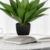 A potted artificial agave plant with thick green leaves sits on an open book on a gray tablecloth.