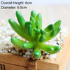 Artificial Succulent Bonsai for Desk & Home Decor