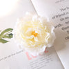 A white peony flower decoration placed on a page with text and a green palm leaf.