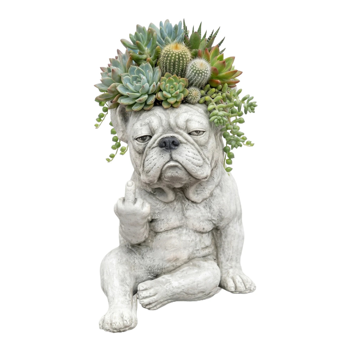 Sculpture de la tête d'un bouledogue français ornée de succulentes et de feuillage vert.