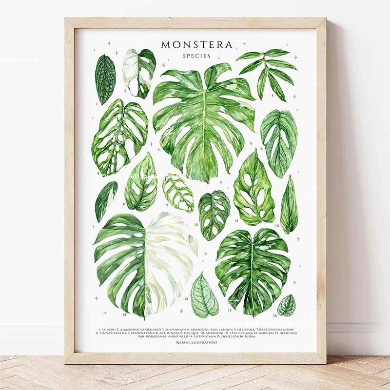 Botanical Philodendron canvas wall art featuring various green plant species illustrations.