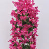 A vibrant pink faux bougainvillea vine cascading down, featuring numerous small flowers.