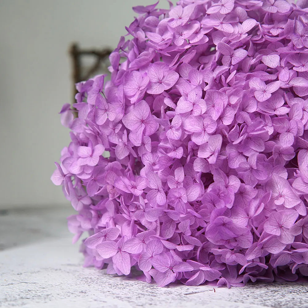 A dense cluster of purple dried hydrangea florets used for home decor.
