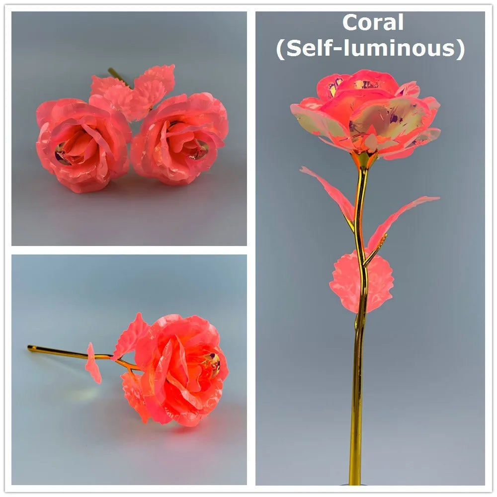 A self-luminous coral rose in pink and red hues displayed on a gold stem.