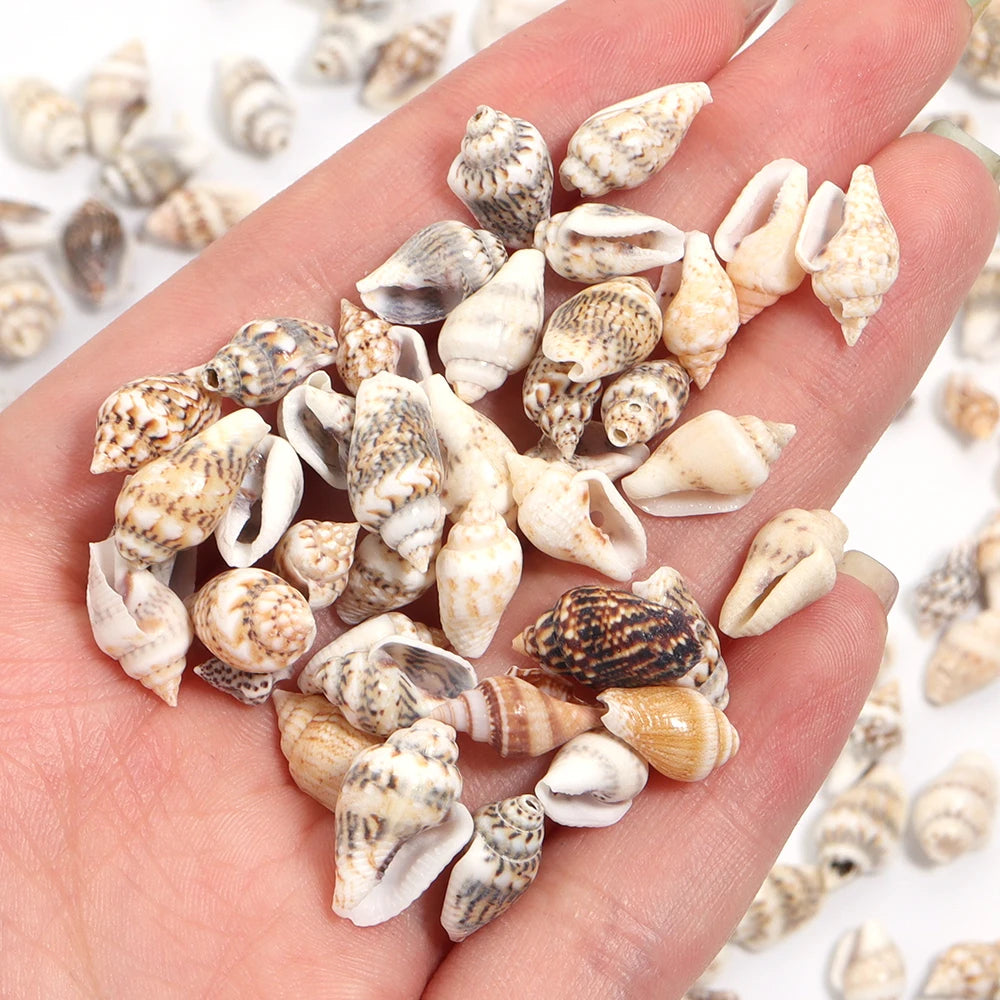 Natural Sea Snail Shell Beads for DIY Jewelry Making