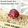 A pink succulent bonsai ball with a green stem is displayed in a wooden box filled with small gravel.