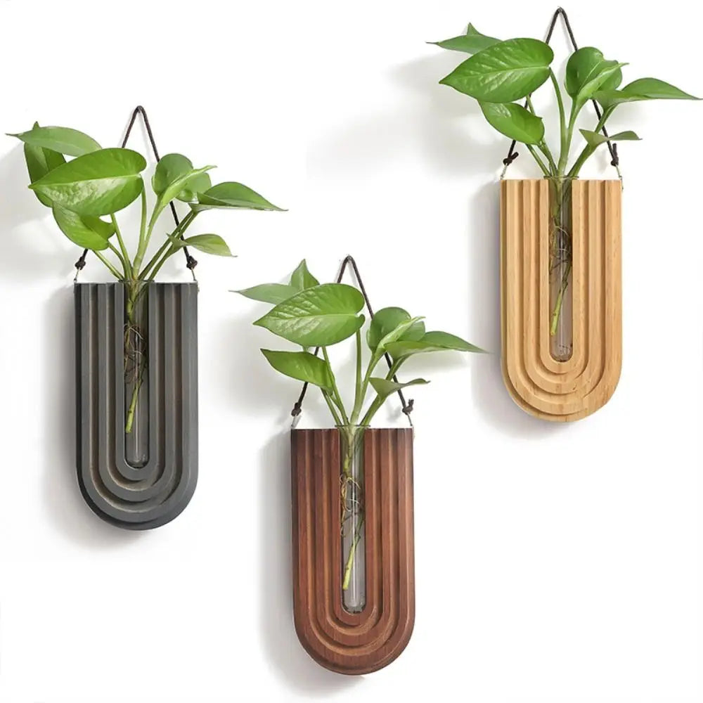 Three handcrafted wooden wall-mounted hydroponic plant vases with green leafy plants