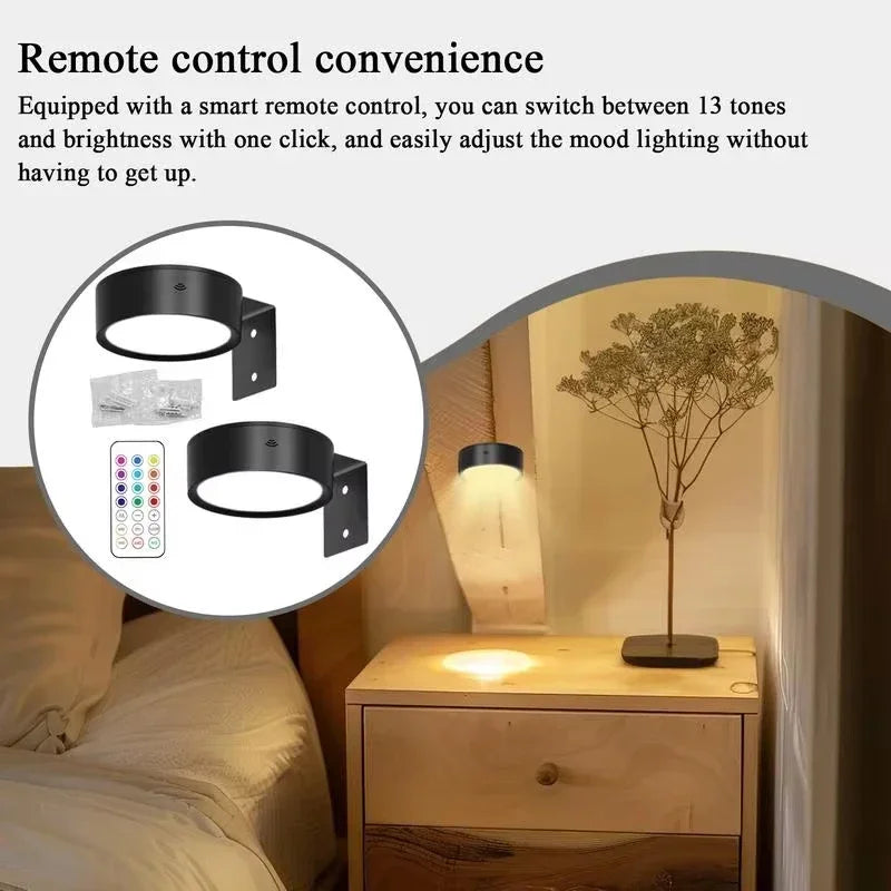 A smart remote control for an LED picture light, shown next to the light fixture and a potted plant.