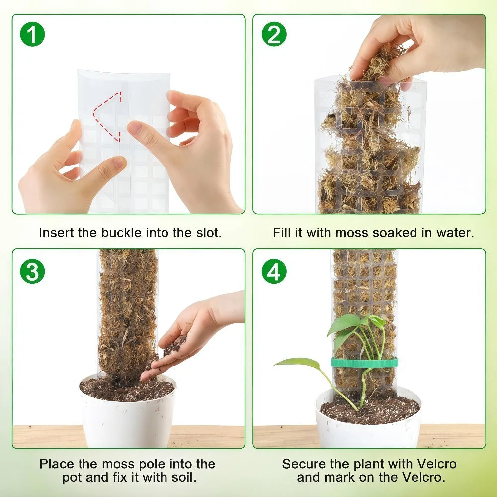 Instructions showing how to insert a buckle, fill with moss, plant the pole in soil, and secure the plant with Velcro.