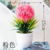 Un vibrant plant de bonsaï sphérique rose vif dans un pot blanc, présenté sur fond blanc.