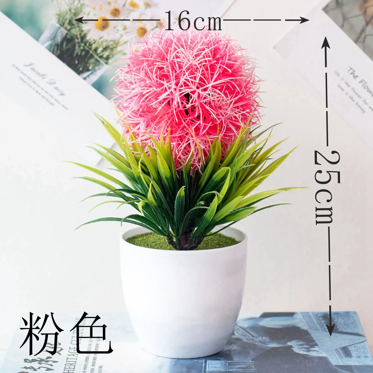 Un vibrant plant de bonsaï sphérique rose vif dans un pot blanc, présenté sur fond blanc.