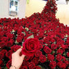 A close-up view of a dense arrangement of deep red velvet artificial roses.