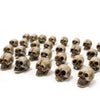 A collection of realistic skull figurines used for Halloween and gothic decor.