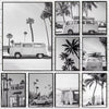 A collection of black and white photographs featuring palm trees and vintage vans in a beach landscape setting.