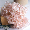 A large bunch of dried pink hydrangea florets arranged on a wooden surface.