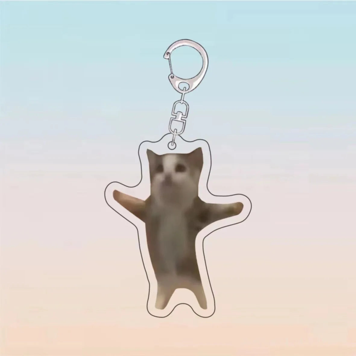 A clear acrylic keychain featuring a silhouette of a cat in a happy pose.