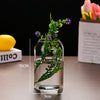 A clear glass hydroponic vase holds green foliage with purple flowers on a table.