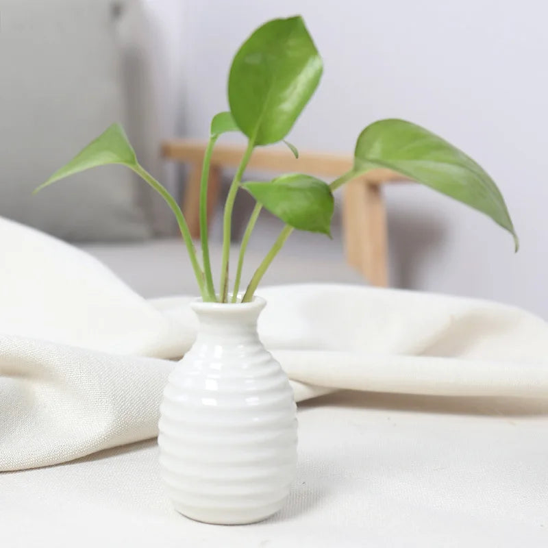 Handcrafted Ceramic Mini Vase for Desk & Tabletop Decor