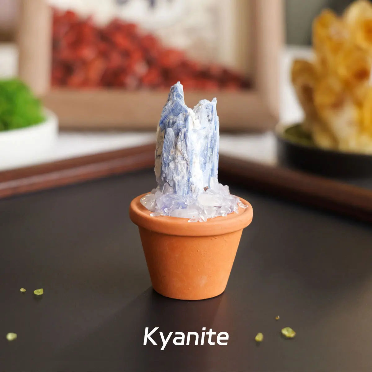 A blue crystal specimen of Kyanite is displayed in an orange pot on a dark surface.