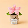 Handcrafted crochet lily flower pot with a pink flower and a thank you card
