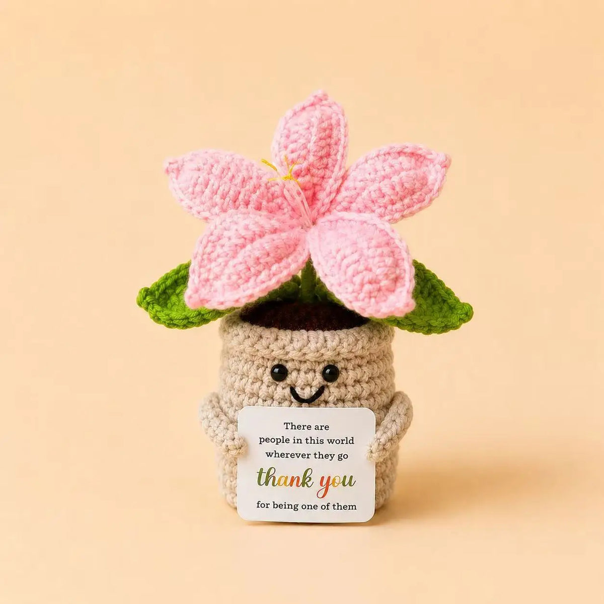 Handcrafted crochet lily flower pot with a pink flower and a thank you card