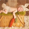 A newborn baby is sleeping inside a woven basket lined with green moss and surrounded by crochet lion accessories.