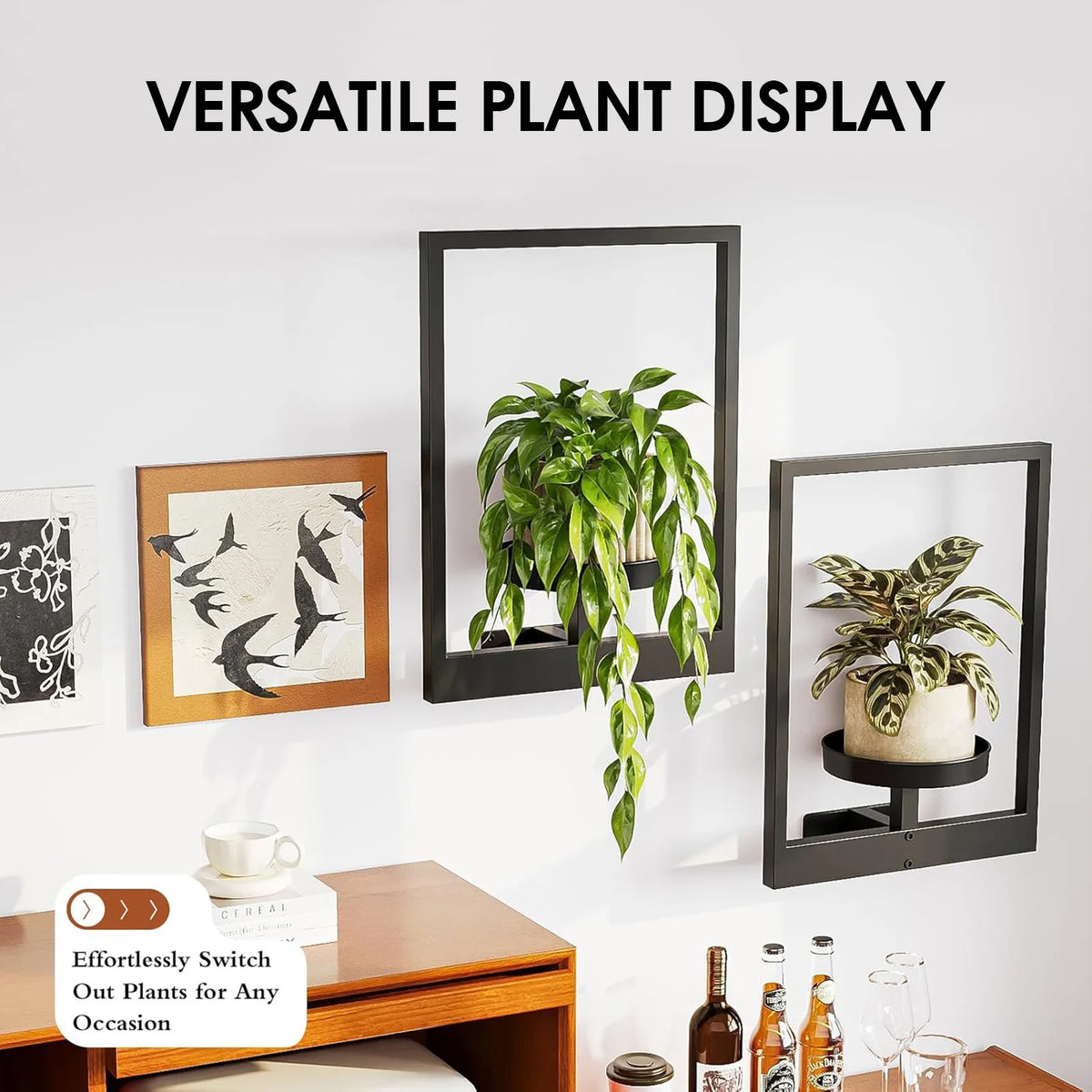 A versatile plant display featuring various framed plants and succulents on a white wall.