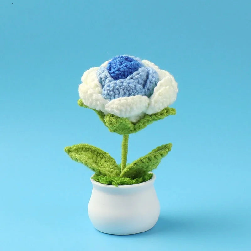 Hand woven crochet blue and white flower in a white pot
