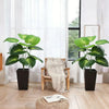 A potted artificial palm tree with large green leaves sits on a wooden floor next to a window.