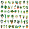 A collection of various potted succulent plants and greenery for sale.