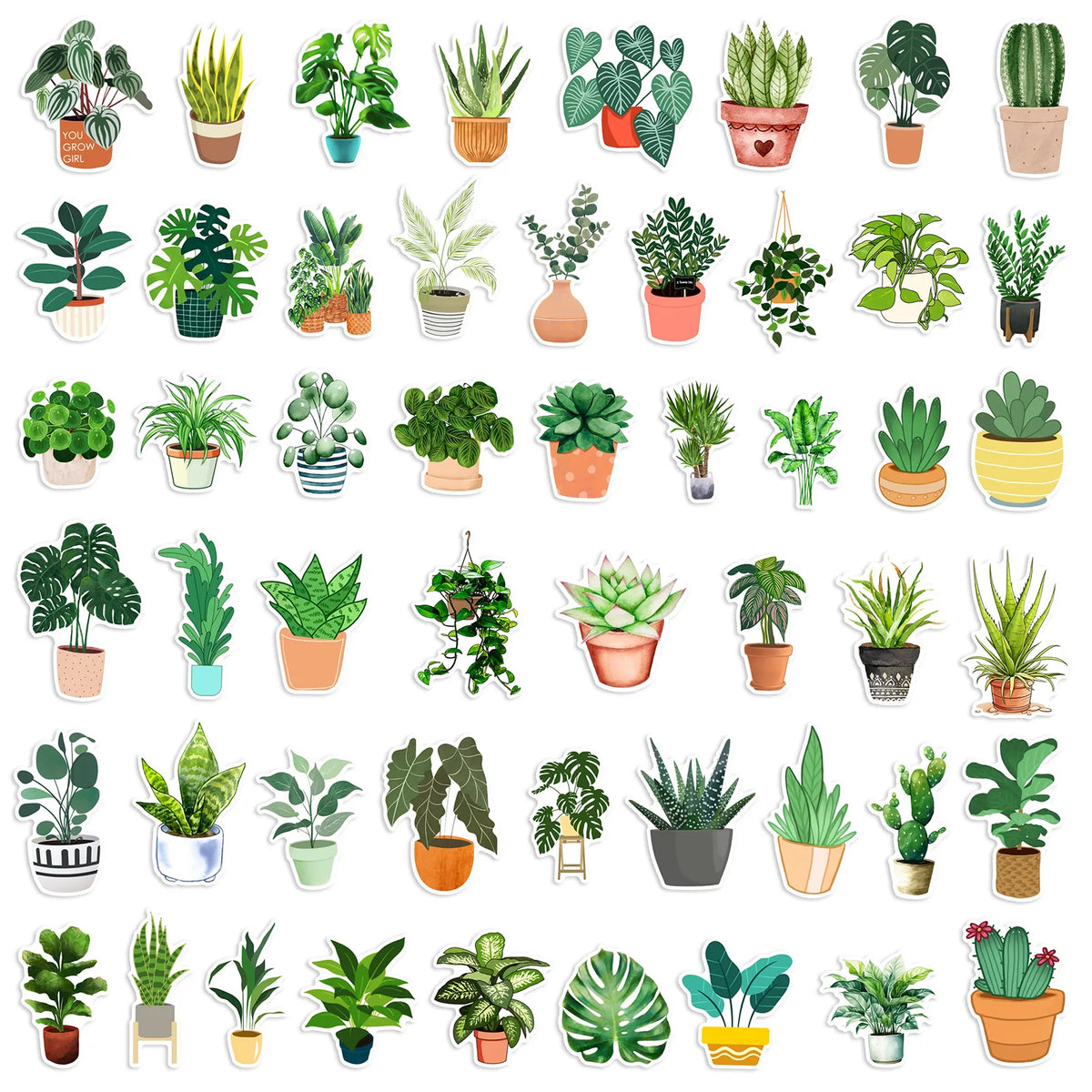 A collection of various potted succulent plants and greenery for sale.