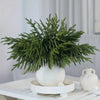 Artificial Norfolk Pine Branches – Realistic Evergreen Stems for Indoor Decor