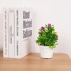 A set of three books titled About Michael Sullivan, The Siletto Book, and T.K. Sabapathy next to a potted artificial bonsai t