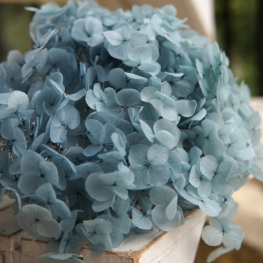 A bouquet of light blue dried hydrangea flowers displayed on a wooden surface.