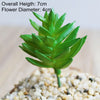 Artificial Succulent Bonsai for Desk & Home Decor