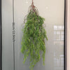 Artificial hanging ivy vine with reddish roots displayed against a glass background.