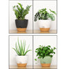 A set of five self-watering flower pots for indoor plants in various shades of green and white with natural wood accents.