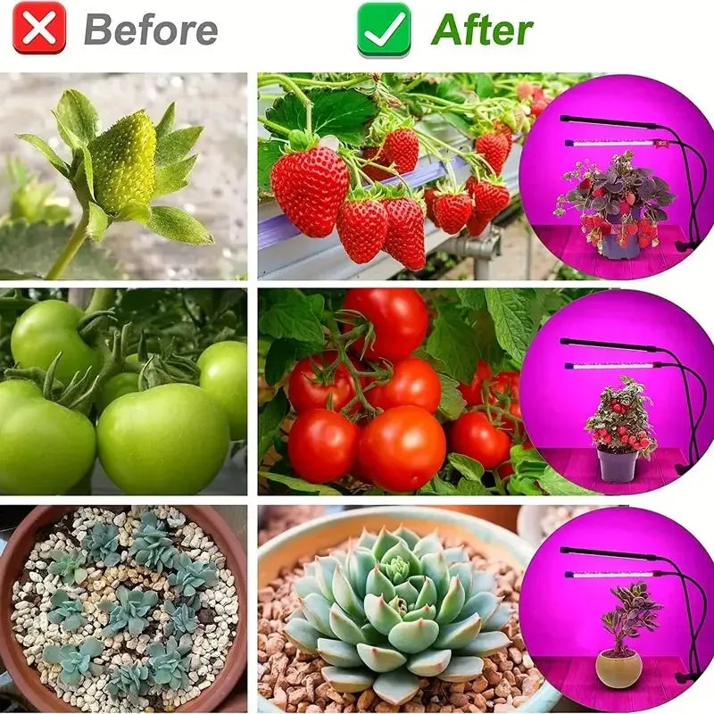 Before and after comparison of a USB LED plant grow light for indoor gardening.
