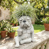 Statue en résine grise d'un bouledogue français assis sur une corniche de pierre, entouré de feuillage vert.