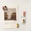 A set of six resin fridge magnets featuring various female figures in different poses and colors.