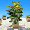 A vibrant artificial Bird of Paradise plant with large green leaves and orange-red flowers in a terracotta pot against a brig