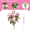A plant with pink and white petunia flowers on a green stem, shown next to details about petal textures, leaves, and stem stu