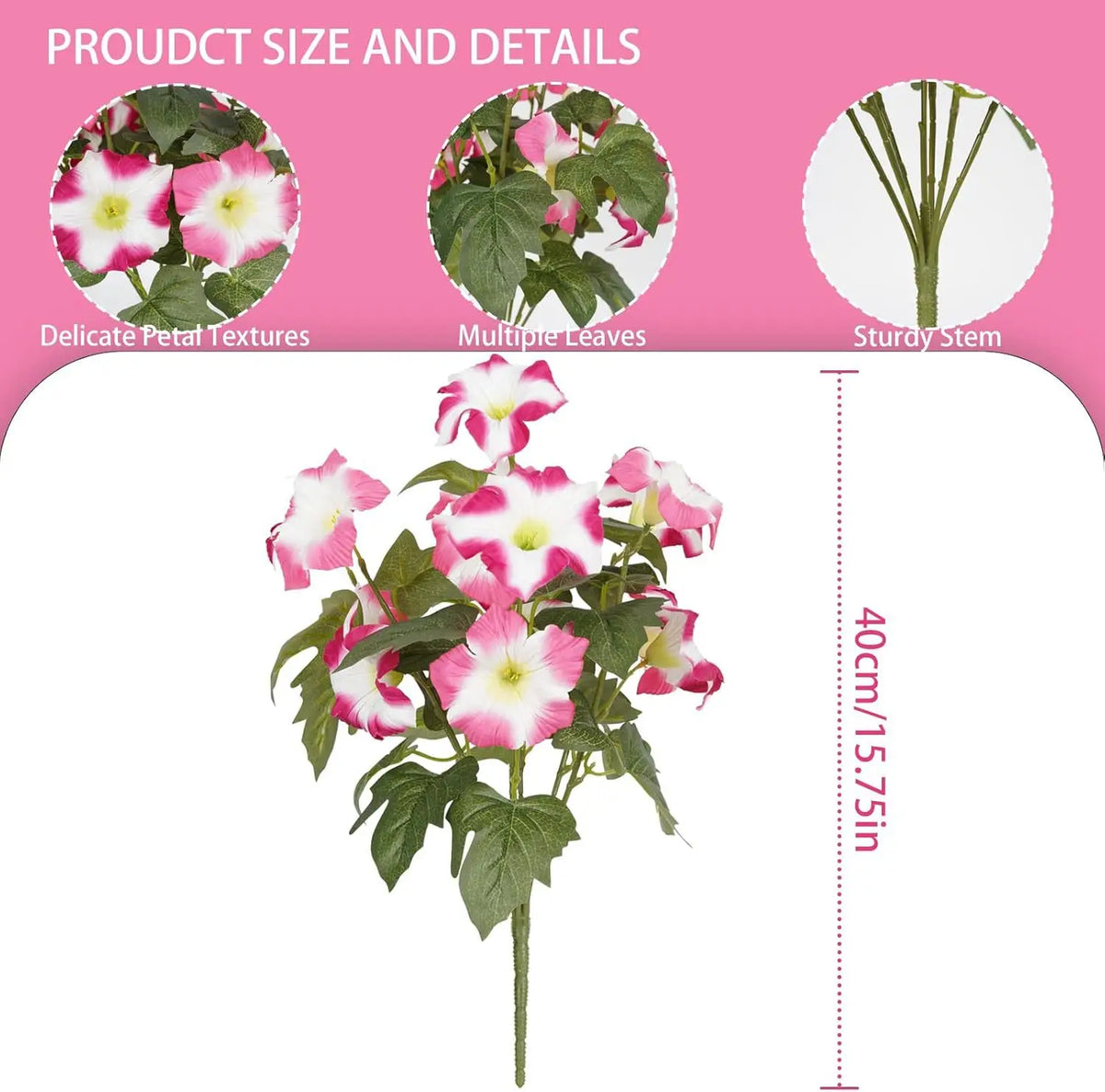 A plant with pink and white petunia flowers on a green stem, shown next to details about petal textures, leaves, and stem stu