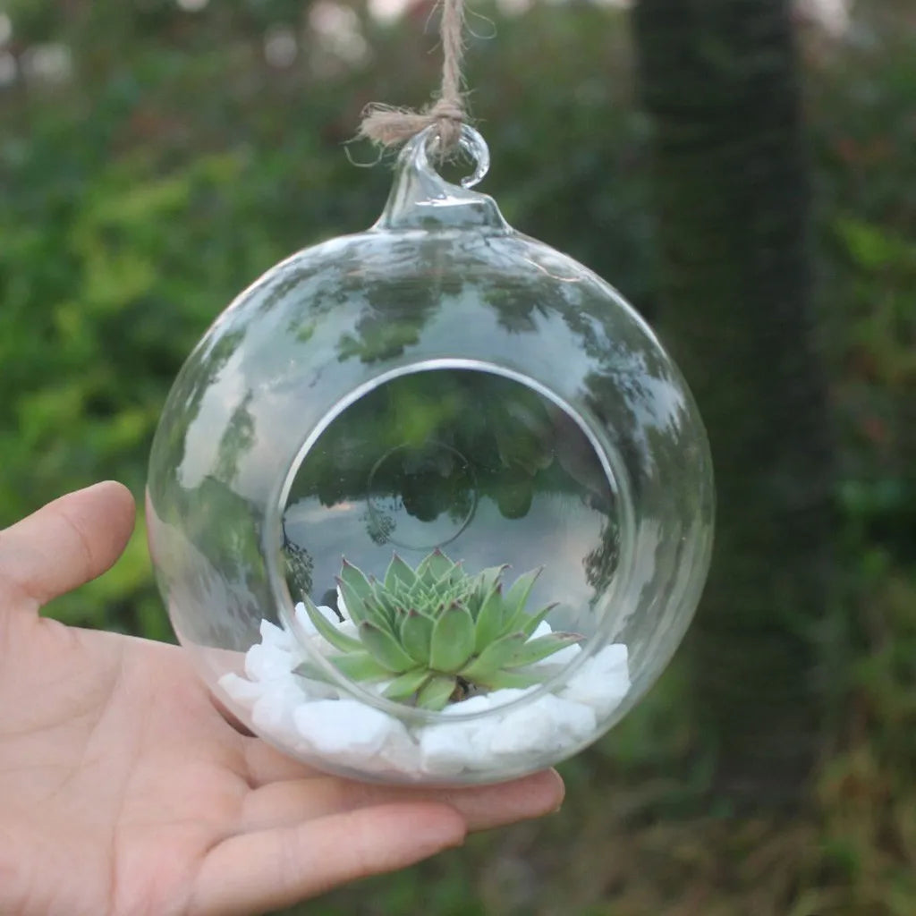 A clear glass hanging planter vase filled with small white stones and a green succulent plant is held in a hand.