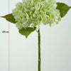 A light green hydrangea flower cluster on a stem with accompanying leaves, measuring 19cm high.