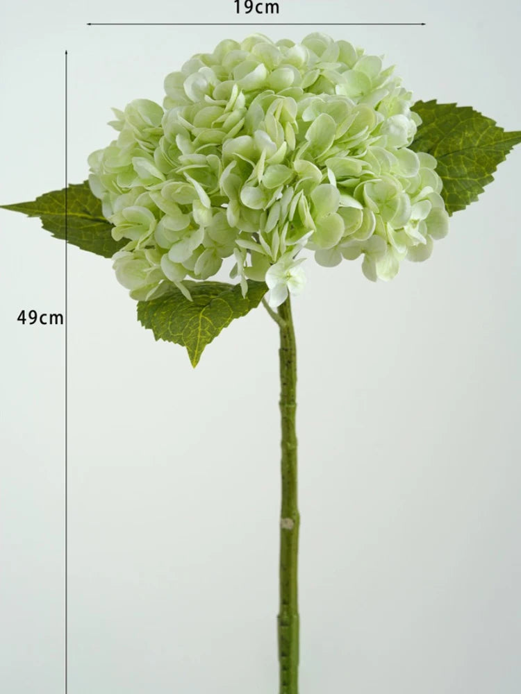 A light green hydrangea flower cluster on a stem with accompanying leaves, measuring 19cm high.