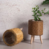 A rustic rattan planter with a wooden lid and legs holding a green plant against a textured wall.
